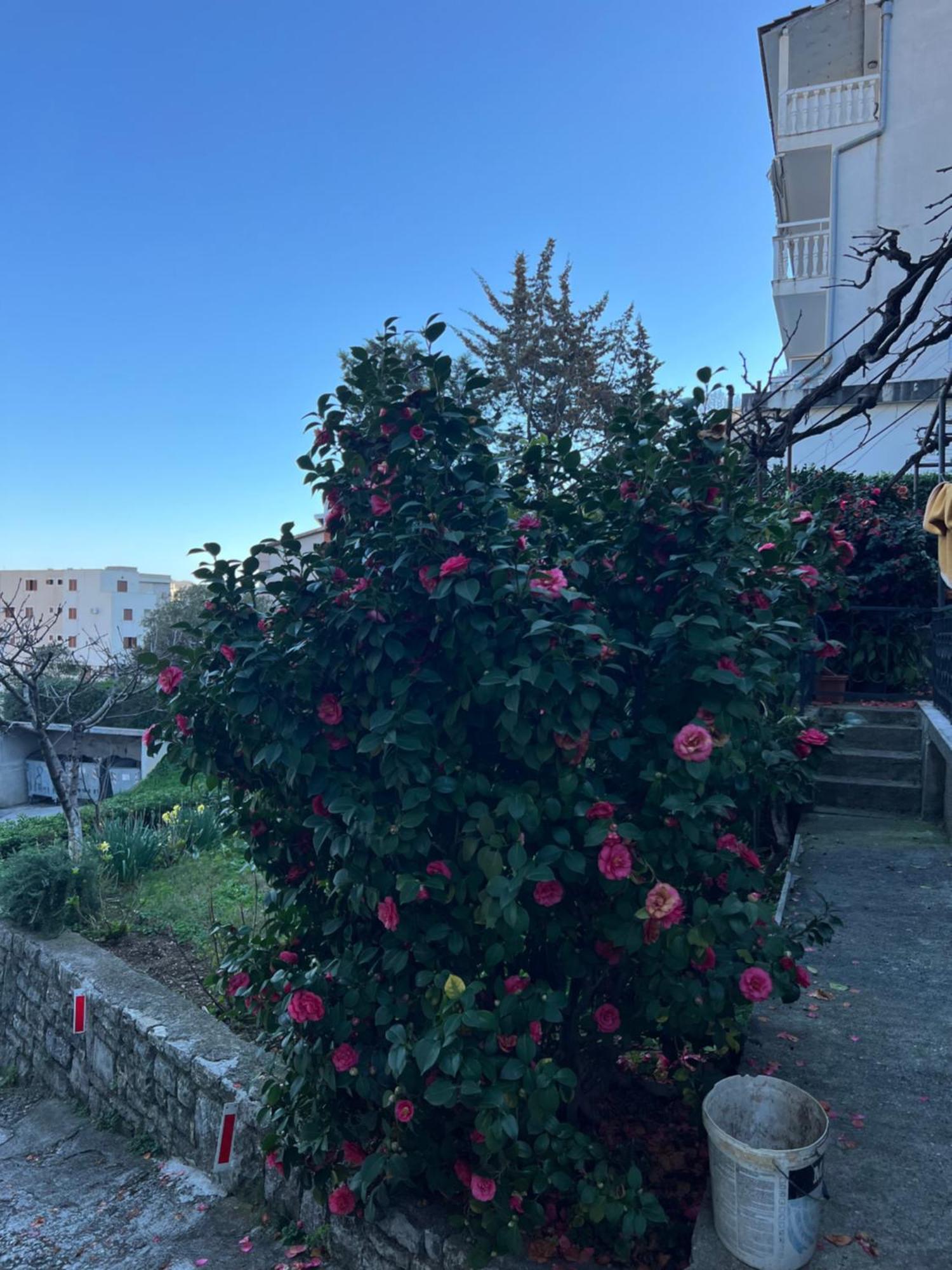 Guest House Plima 2 Budva Kültér fotó